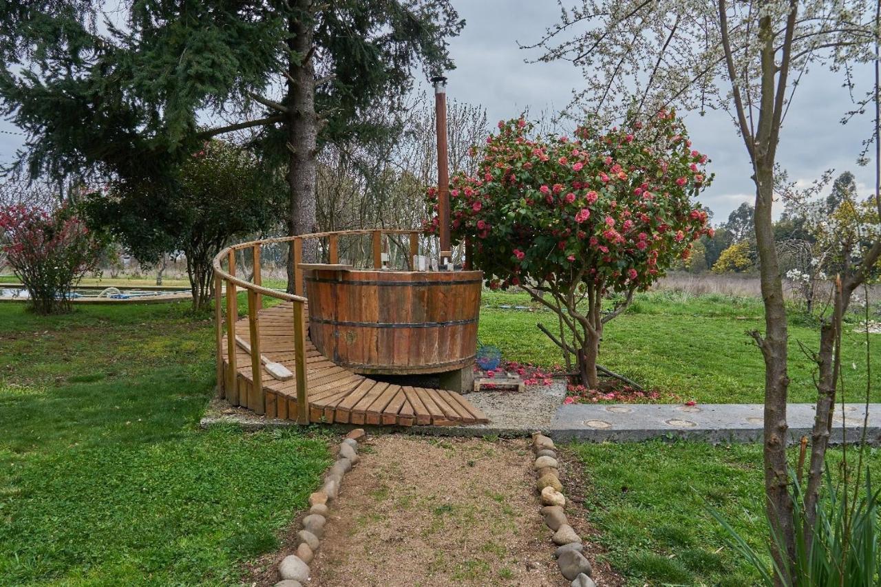 La Casa De Adobe Natural Y Mas Bulnes エクステリア 写真