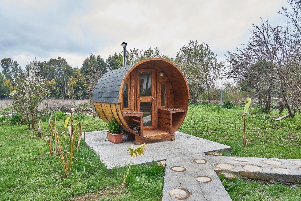 La Casa De Adobe Natural Y Mas Bulnes エクステリア 写真