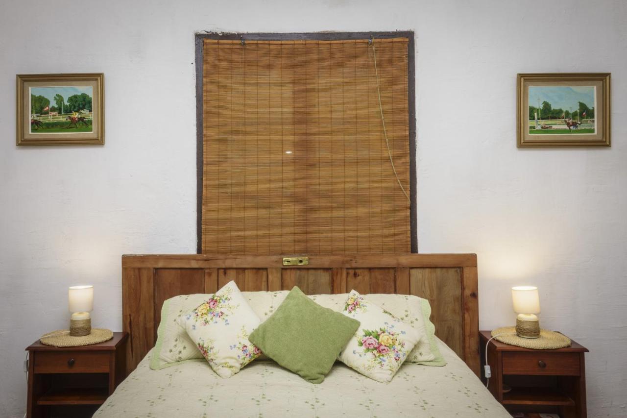 La Casa De Adobe Natural Y Mas Bulnes エクステリア 写真